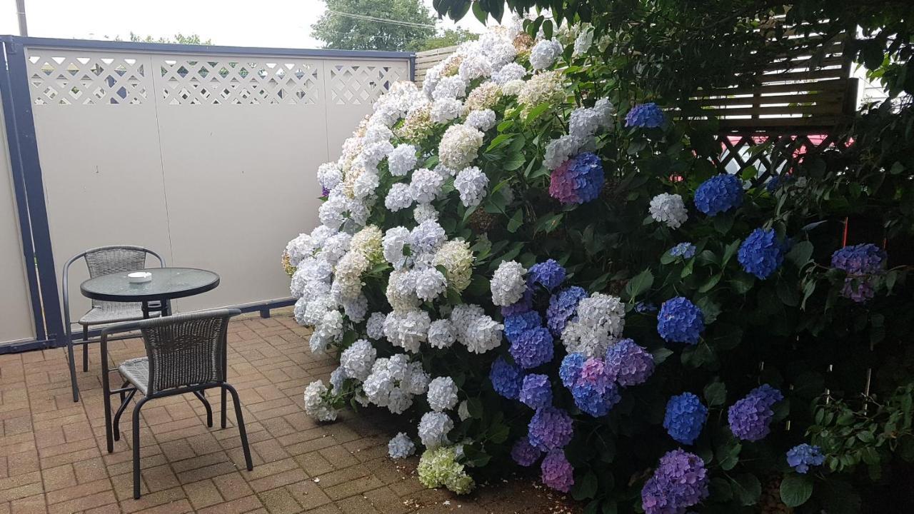 Palm Court Motel Otorohanga Eksteriør billede