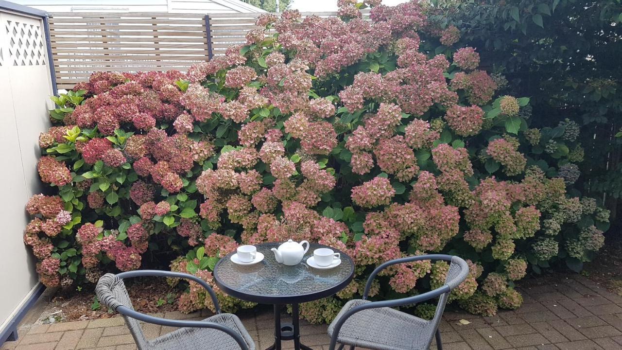 Palm Court Motel Otorohanga Eksteriør billede
